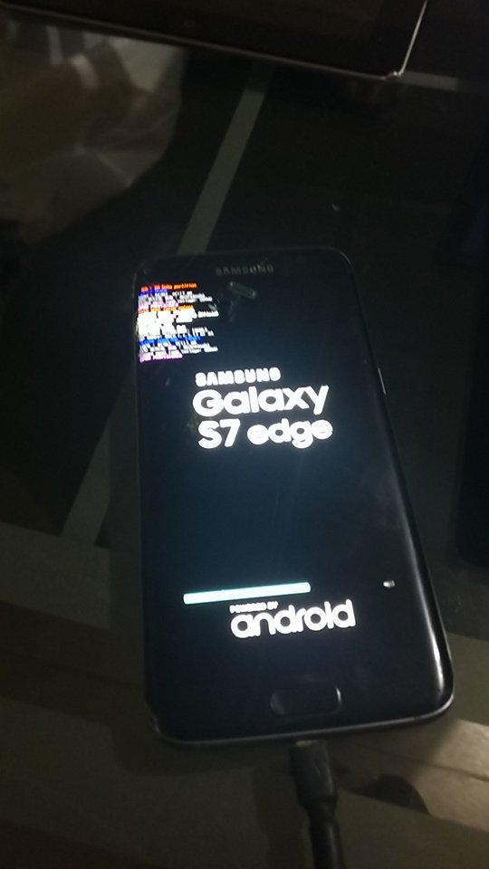 14024973949679603316.jpg