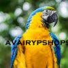 avairypshops.com