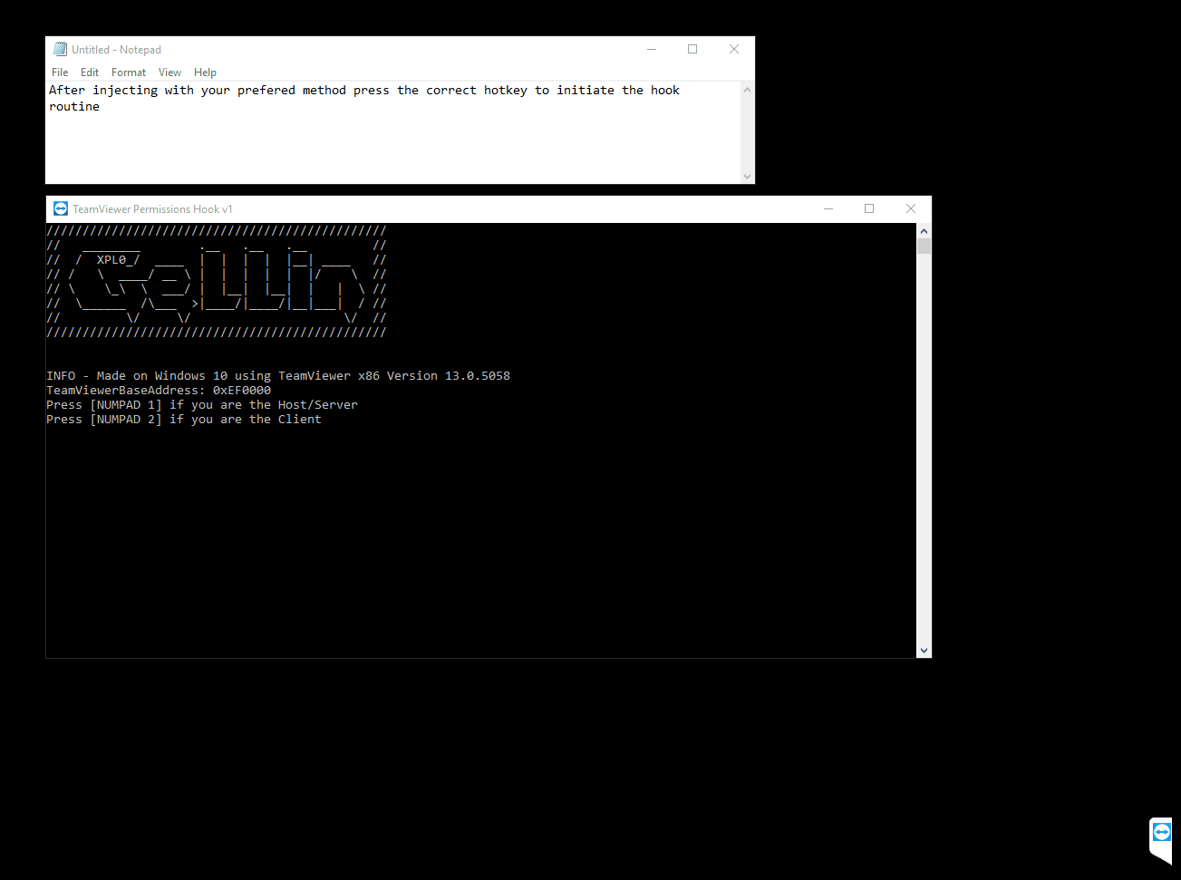 TeamViewer-server_switch_sides.gif
